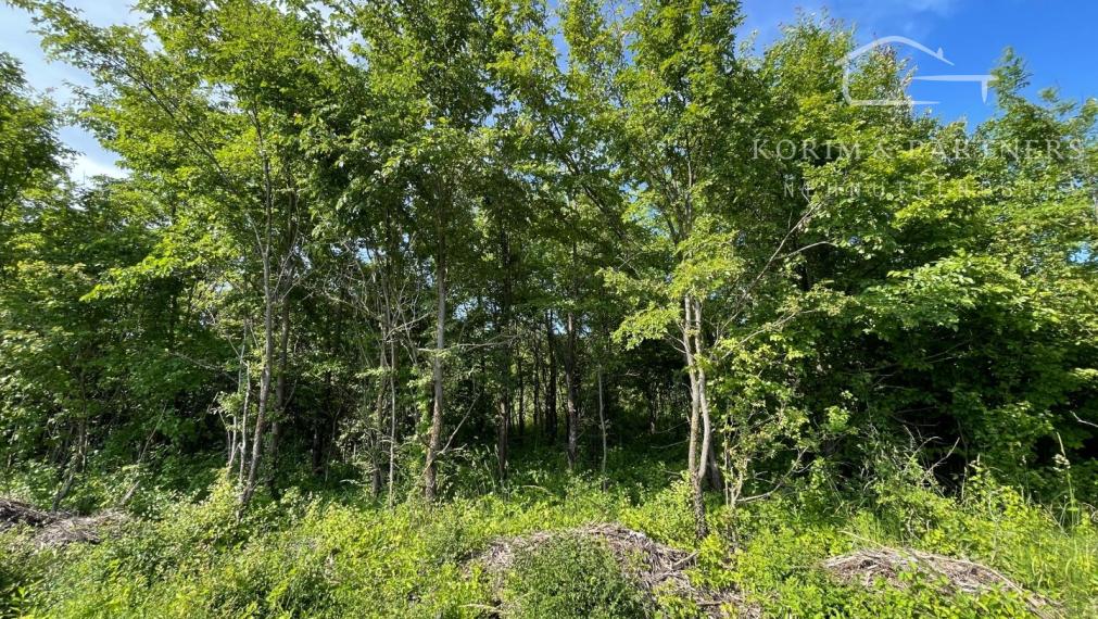 Stavebný pozemok, Pernek, predaj