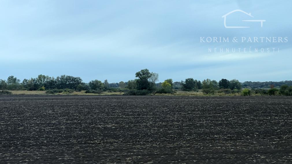 Poľnohospodárkske pozemky na predaj, Komárno