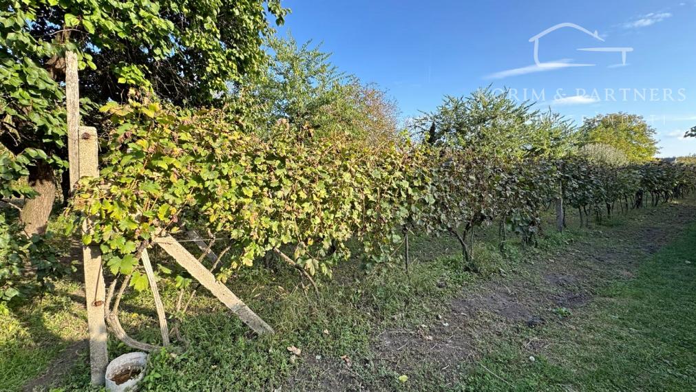 Obrovská záhrada s murovanou chatkou, Nová Stráž, Komárno