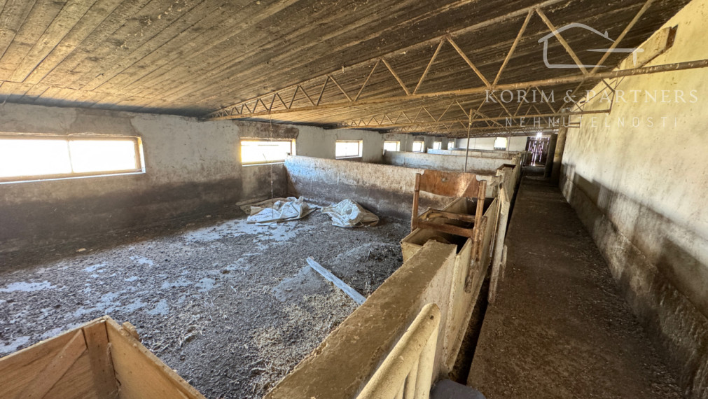 NOVINKA - Rodinná farma na vyše 2,5 hektároch pri Komárne