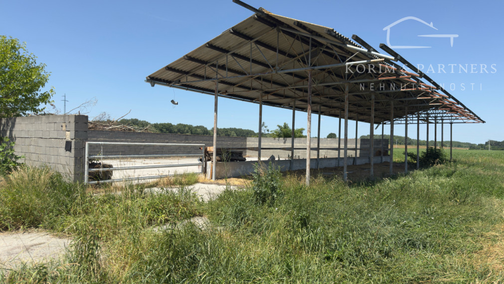 NOVINKA - Rodinná farma na vyše 2,5 hektároch pri Komárne