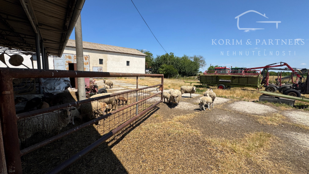 NOVINKA - Rodinná farma na vyše 2,5 hektároch pri Komárne