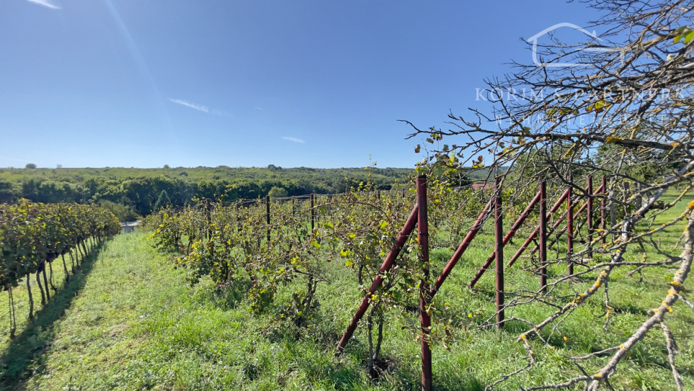 Vínny domček pre majstra vinára