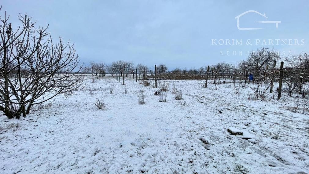 Rodinný dom s priestranným pozemkom, Iža