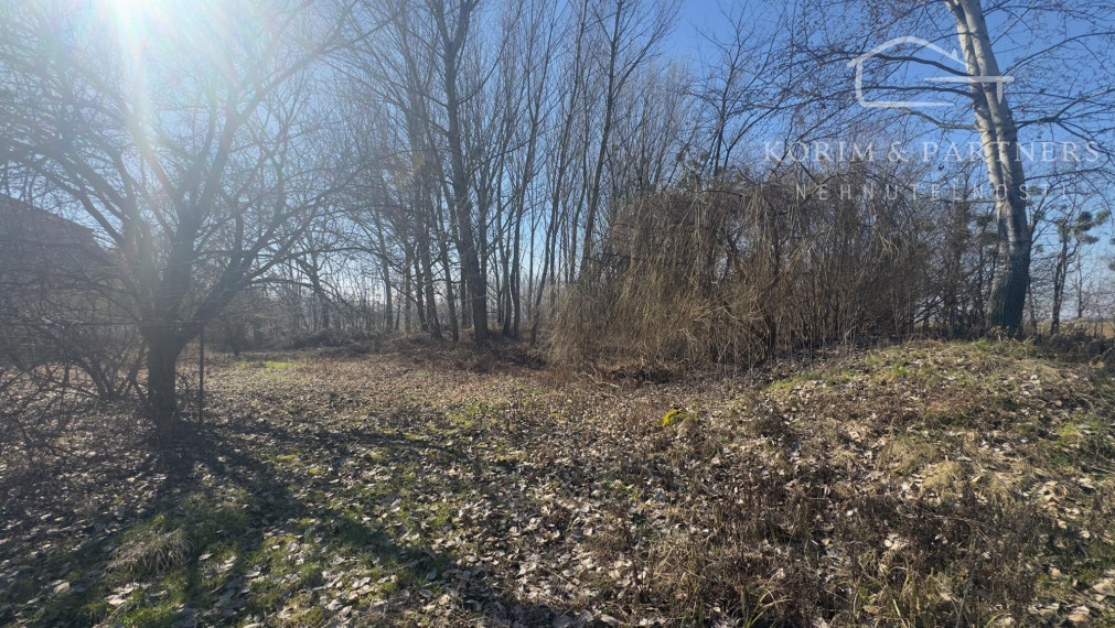 Dom s vlastným jazerom a viac ako hektárom pozemku – Malý Ostrov