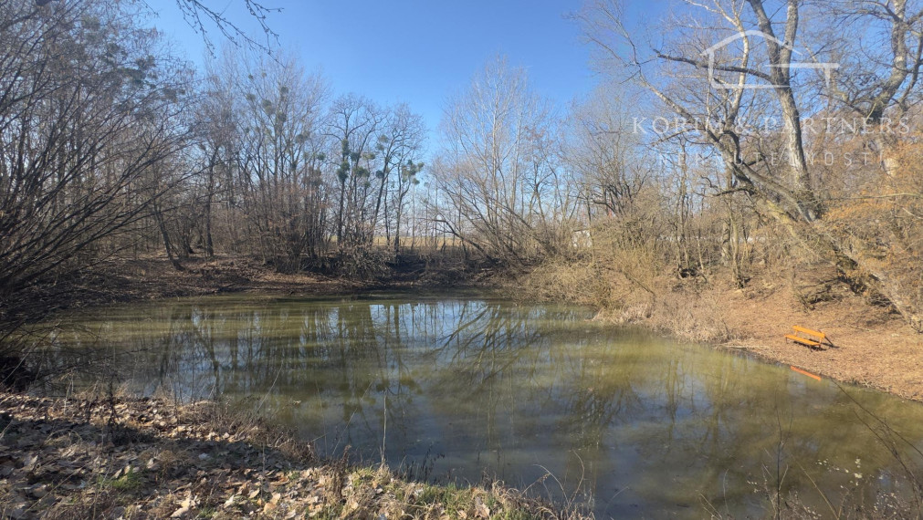 Dom s vlastným jazerom a viac ako hektárom pozemku – Malý Ostrov