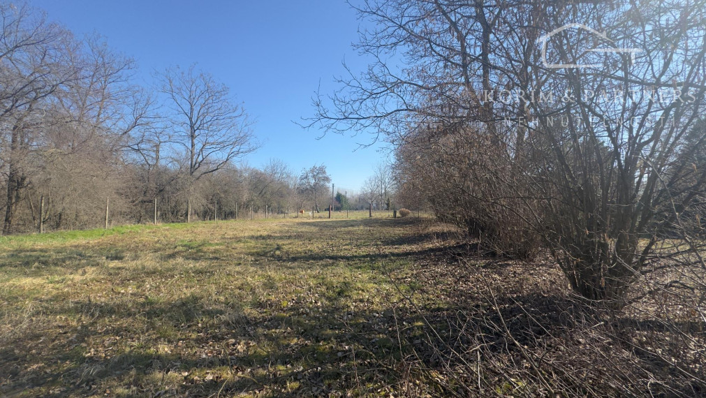 Dom s vlastným jazerom a viac ako hektárom pozemku – Malý Ostrov