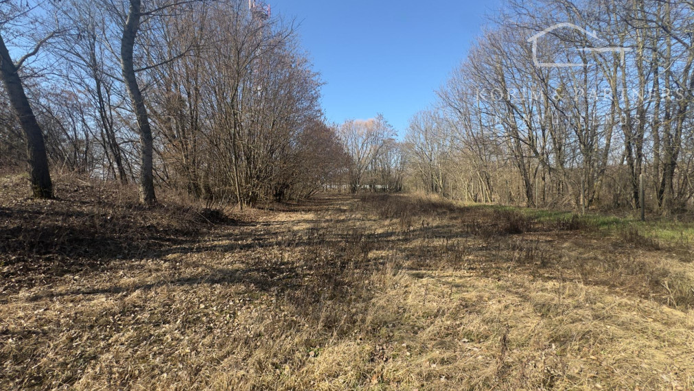 Dom s vlastným jazerom a viac ako hektárom pozemku – Malý Ostrov