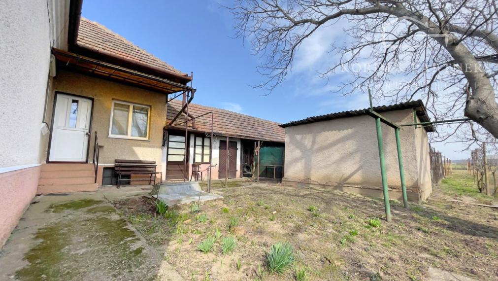 Kráľovský pozemok, 2158 m² s domom ako bonus, Bátorove Kosihy