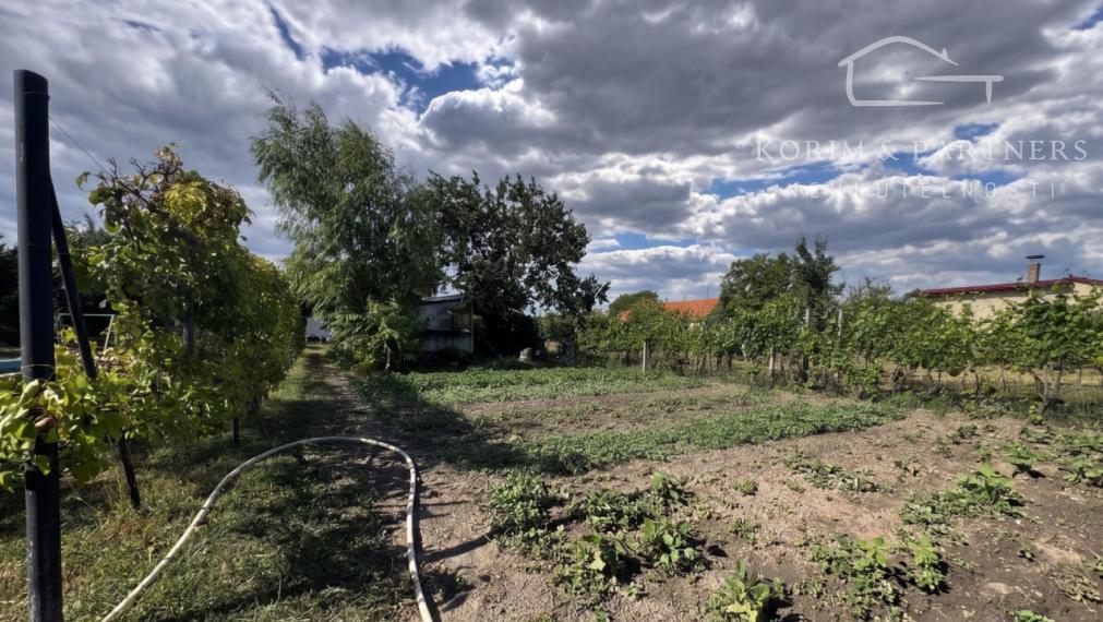 Rodinný dom s bazénom a takmer 30-árovým pozemkom pri Komárne