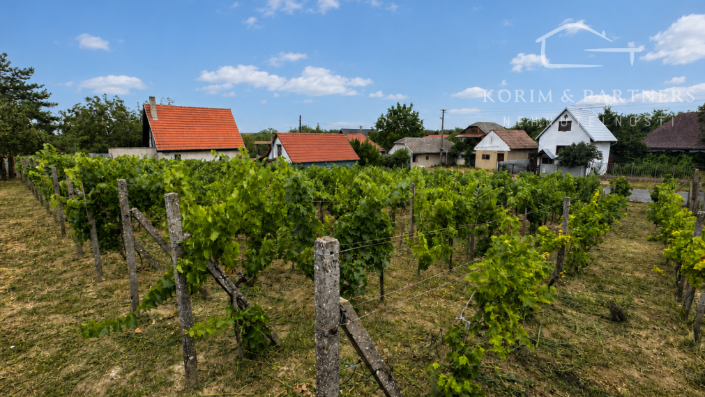 Viničný domček s rodiacim vinohradom a pivnicou | Svätý Peter