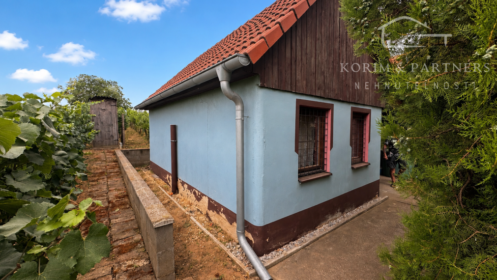 Viničný domček s rodiacim vinohradom a pivnicou | Svätý Peter