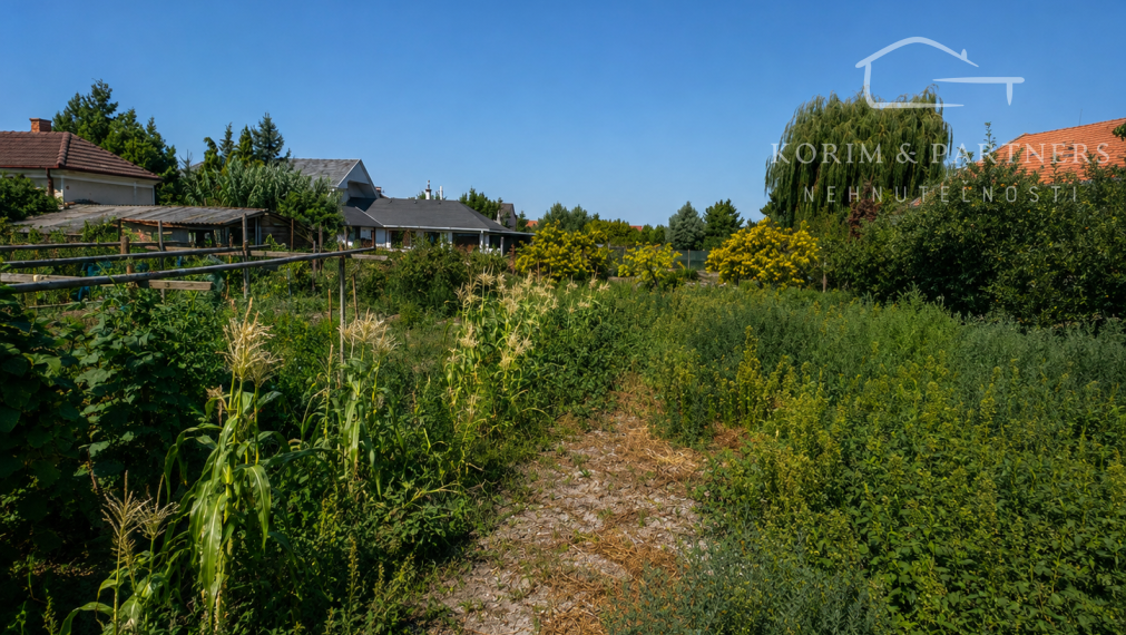400 m² pozemok v zastavanom území Kolárova – potenciál pre budúcu výstavbu