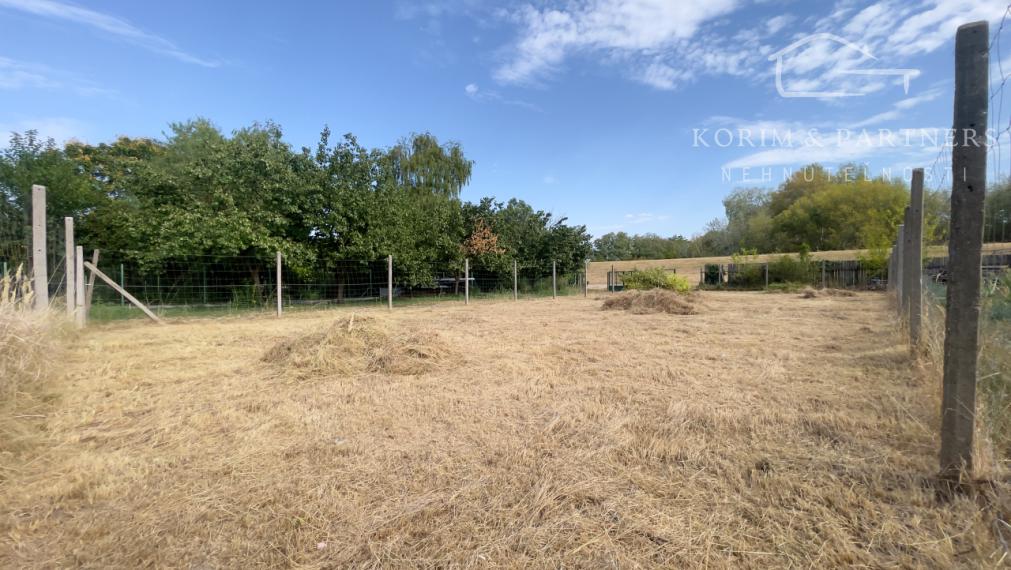 Pokojné miesto len 250 m od Dunaja, Záhrada 400 m² v Nová Stráž