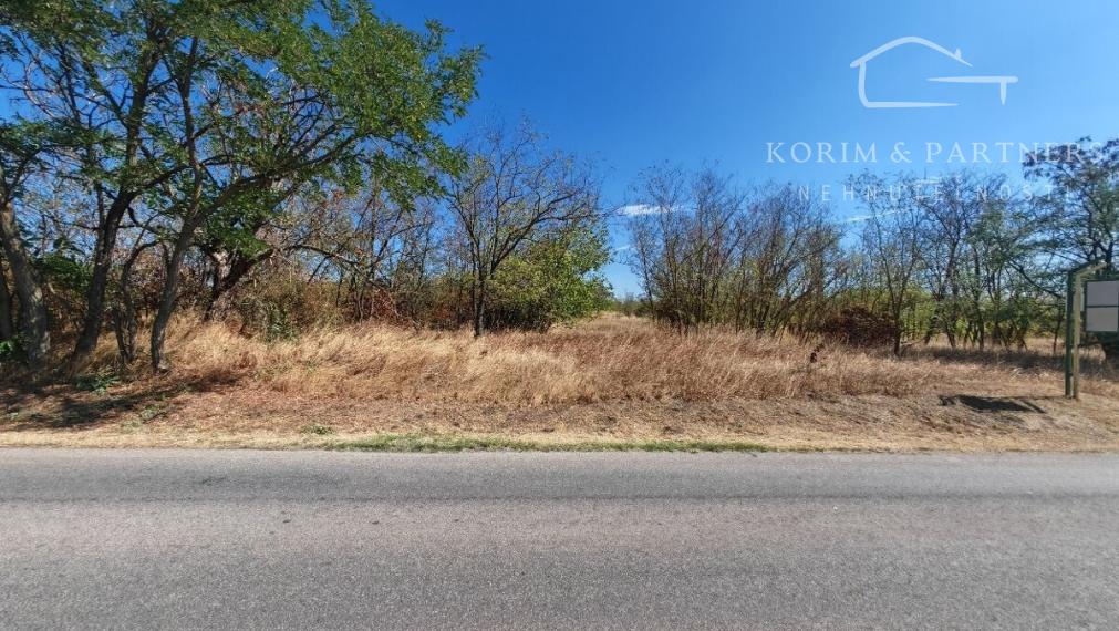 Pozemok 4 344 m² od cesty až k lesu – Marcelová