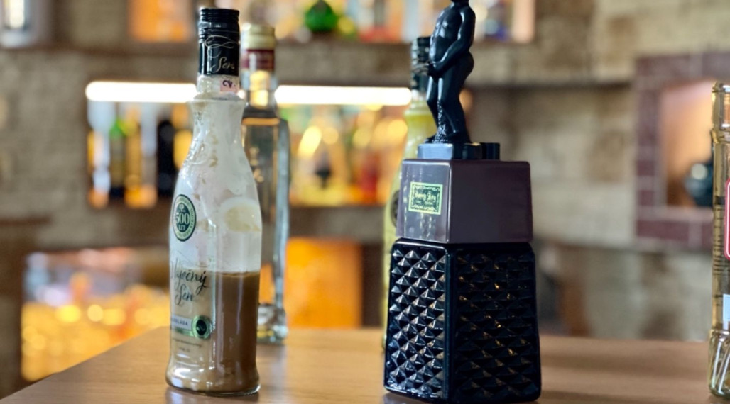 Rodinný dom s administratívnou budovou, opravárenskou dieľňou, Nová Stráž