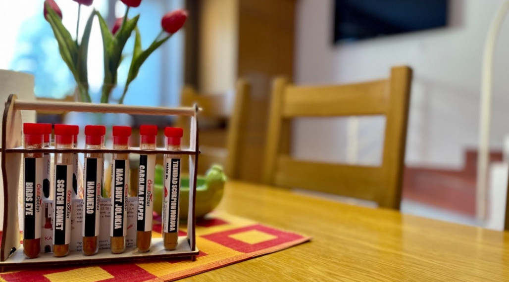 Administratívna budova s opravárenskou dieľňou a rodinným domom, Komárno