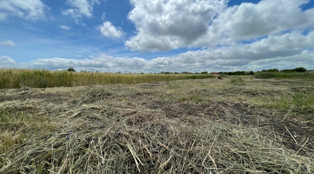 Stavebné  pozemky v Malej Iži, Komárno, predaj