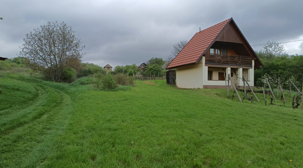 Pozemok vo vinárskej oblasti na predaj, Modrany