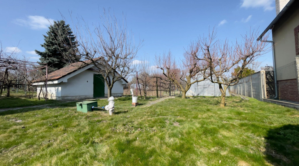 Takmer 11 árov súkromia v meste, záhrada kde máte maximum kľudu