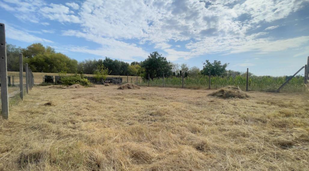 Pokojné miesto len 250 m od Dunaja, Záhrada 400 m² v Nová Stráž