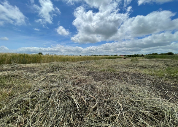 Stavebné  pozemky v Malej Iži, Komárno, predaj