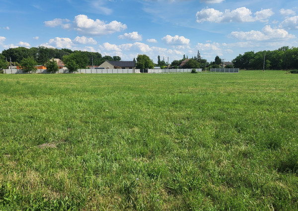 Stavebný pozemok Martovce / 10 000M2 /