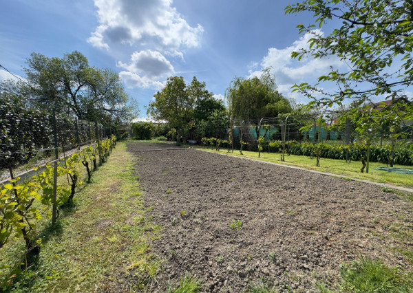 Záhrada na predaj v Novej Osade,  Komárno