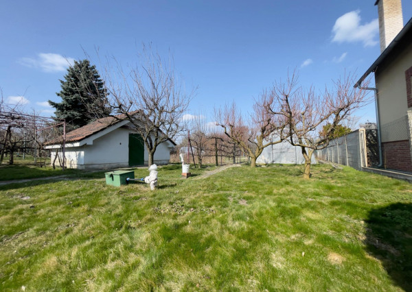 Takmer 11 árov súkromia v meste, záhrada kde máte maximum kľudu