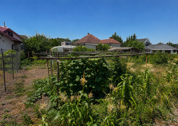 400 m² pozemok v zastavanom území Kolárova – potenciál pre budúcu výstavbu
