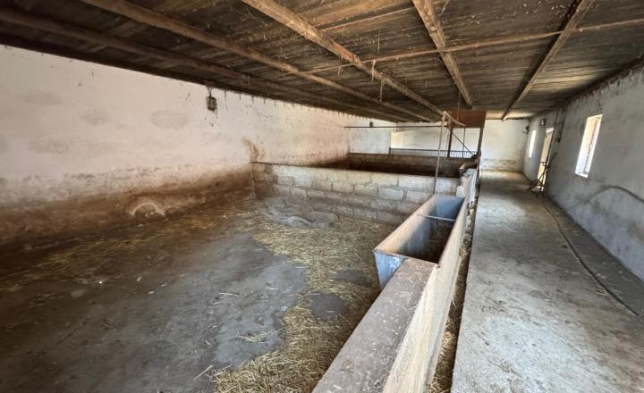 Rodinná farma skoro 2,5 hektároch pri Komárne - fotografia 6