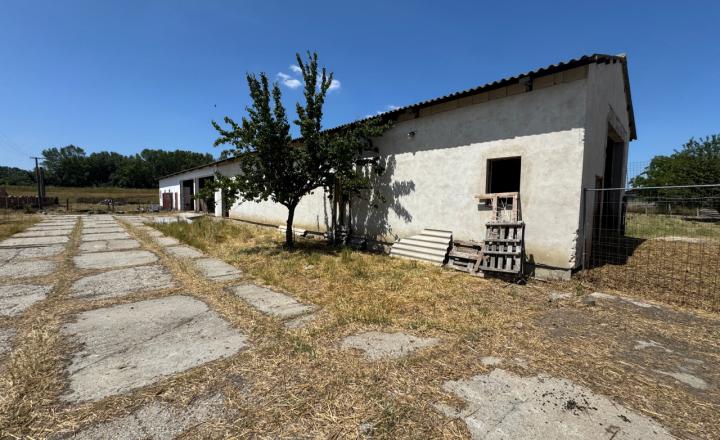 Rodinná farma skoro 2,5 hektároch pri Komárne - fotografia 13