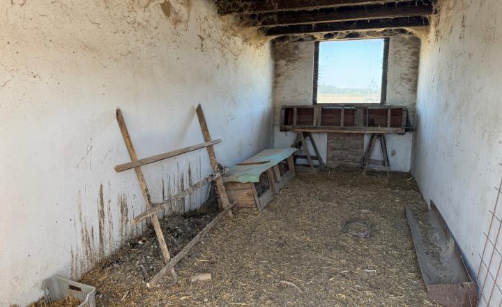 Rodinná farma skoro 2,5 hektároch pri Komárne - fotografia 7
