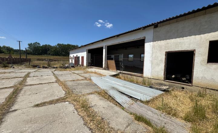 Rodinná farma skoro 2,5 hektároch pri Komárne - fotografia 12