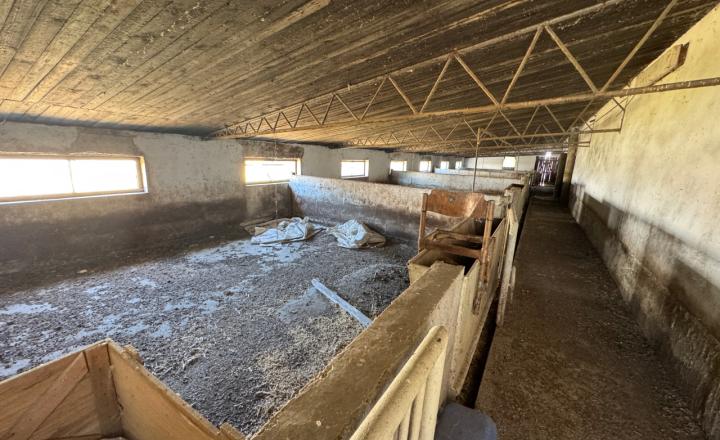 Rodinná farma skoro 2,5 hektároch pri Komárne - fotografia 5