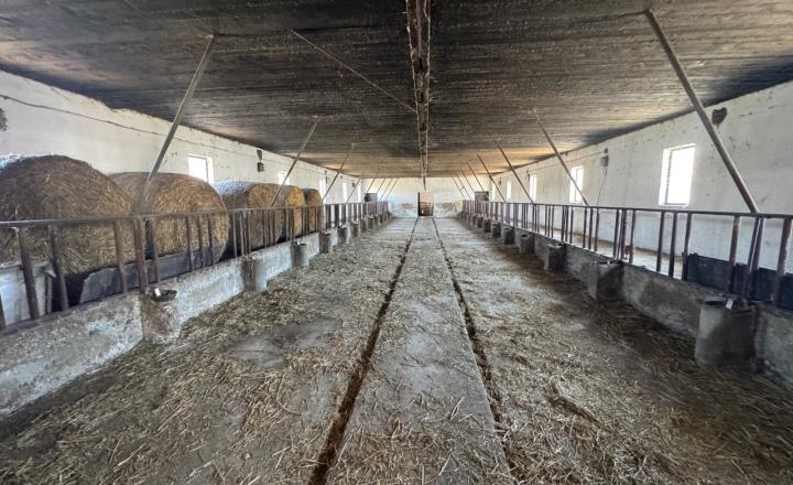 Rodinná farma skoro 2,5 hektároch pri Komárne - fotografia 15