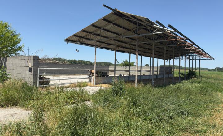 Rodinná farma skoro 2,5 hektároch pri Komárne - fotografia 19