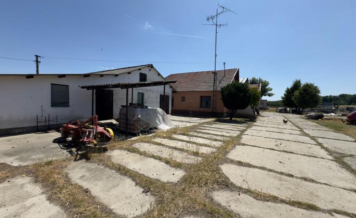 Rodinná farma skoro 2,5 hektároch pri Komárne - fotografia 22