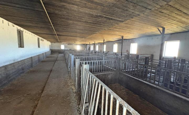 Rodinná farma skoro 2,5 hektároch pri Komárne - fotografia 24