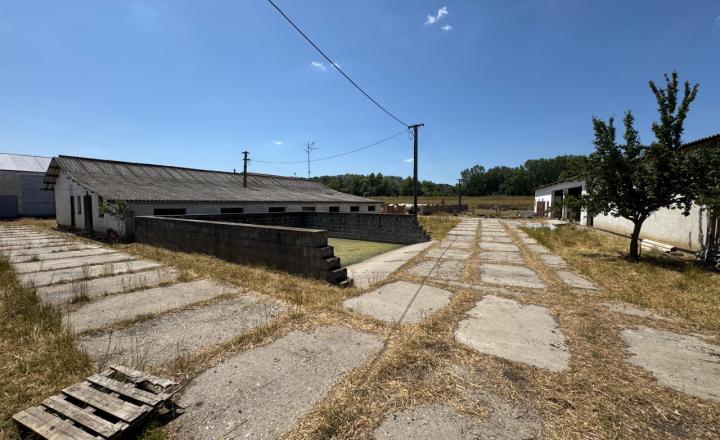 Rodinná farma skoro 2,5 hektároch pri Komárne - fotografia 25